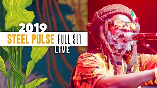 Steel Pulse  Full Set live at California Roots 2019 [upl. by Adiehsar209]