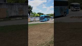 Viação Progresso e Borborema Sainda da Rodoviária de Recife onibusbrasil [upl. by Adhern]