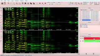 SpectraLayers Tutorials  Voice extraction from a movie [upl. by Plate178]