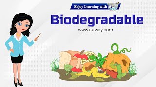 Biodegradable Waste  Biodegradable Waste amp NonBiodegradable Waste  Waste Management  Science [upl. by Doowrehs]