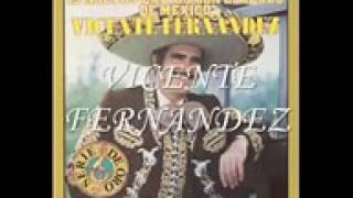 Vicente Fernández voy a dejarte [upl. by Ybanrab623]