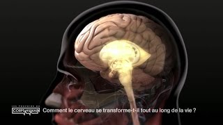 La transformation du cerveau au fil de la vie [upl. by Alina77]