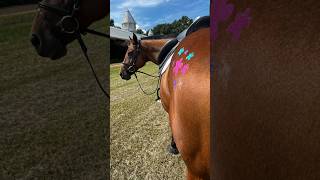 glitter our flowers for your next competition horse pony horsecare art horseriding mlp diy [upl. by Allit]