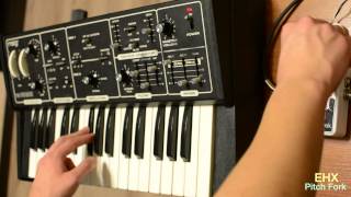 Electroharmonix Pitch Fork meets Moog The Rogue [upl. by Arutnev]