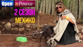 Орёл и Решка 2 сезон  Мексика  Мехико HD [upl. by Suiraj]