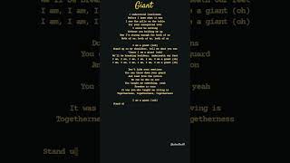 quotGiantquot Calvin Harris amp RagnBone Man Lyrics [upl. by Ahseryt815]