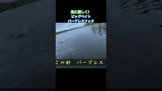 【シーバス】ビッグベイトで良型キャッチ！魚を思う気持ち！ fishing 釣り ジャッカル jackal ルアーフィッシング [upl. by Kcire]