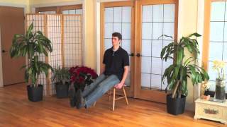 Mindful Chair Yoga A Complete Beginners Practice 40 minutes [upl. by Eylk240]