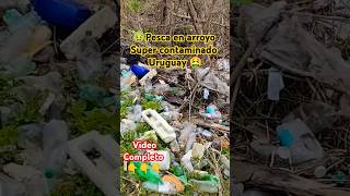 Pesca en arroyo súper contaminado🤮 Uruguay fishaquarium fishing [upl. by Cesare362]