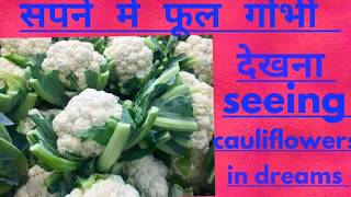 सपने में फूल गोभी देखना seeing cauliflowers in dreamssapne me phool gobhi dekhna [upl. by Nyvar]