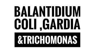 Balantidium coli Giardia and trichomonas parasitology [upl. by Tearle]