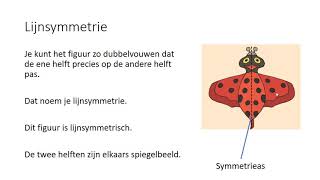 Lijnsymmetrie 1 HAVOVWO amp 1 VWO [upl. by Olwena]