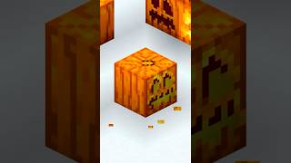 Minecraft Pumpkin FACTS [upl. by Hadeehuat]