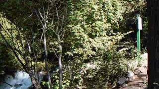 Headwaters of the Sacramento River Mount Shasta California [upl. by Airdnas]