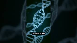 The Structure of DNA [upl. by Jakob]