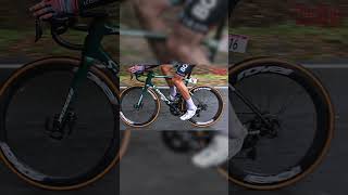 Bora Hansgrohe are running some beautifully specced Specialized SL8s roadbike roadcycling [upl. by Mian694]