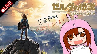 【Switch】The Legend of Zelda Breath of the wild｜ゼルダの伝説 ブレス オブ ザ ワイルド  RE03 のんびりで遊ぼうｗ色々集めー [upl. by Nilecoj272]