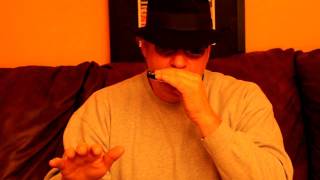 Worlds Easiest Harmonica Lesson 1 [upl. by Zachery]