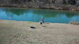 ROLLING DOWN THE HILL AT TARPLEY TEXAS AKA THE CAPITAL OF STICKABURS [upl. by Dorion]