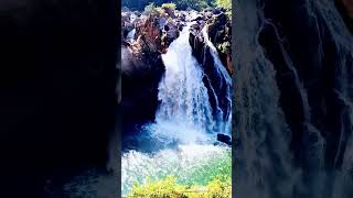 Duwili ella 🍃🌱😍  waterfall in Kalthota shortvideo srilanka travel Suddi waterfall balangoda [upl. by Adiell865]