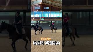 함께 즐기는 이색승마🐴horse riding w홀스랜드 equestrian dressage 가평 포천 승마장 공람마술 [upl. by Garlan]