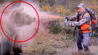 Man Uses Bear Spray on Grizzly But Instantly Regrets It [upl. by Boccaj39]