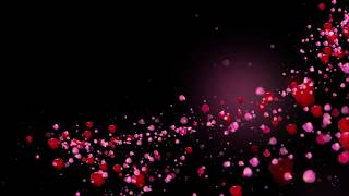 Romantic flying red rose flower petals love heart wedding animated background Hd [upl. by Faucher]