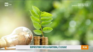 Ripristino della natura è legge  Unomattina 05112024 [upl. by Anahsahs]