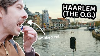 PALING  FONDUE IN BEAUTIFUL HAARLEM 🇳🇱 haarlem travel guide netherlands [upl. by Timon]