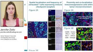 Highly Multiplexed IHC Assays to Examine Immune Checkpoints and Biomarkers for Immunotherapy [upl. by Jermyn]