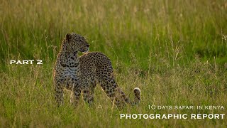 Photo Story Day 2 Maasai Mara Safari [upl. by Eart]