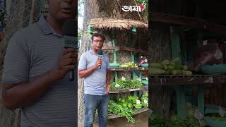 দোকানের অভাবেগাছেই দিয়েছেন সুপার শপ villagelife supershop greenvegetables [upl. by Tlaw]