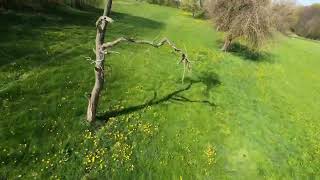 Der Frühling ist da Emax Babyhawk 2 HD  First Flight 👊  FPV feeling  Dji  Caddx [upl. by Amato471]