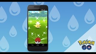 Pokémon GO  Shiny Magikarp Spotted [upl. by Schilt203]