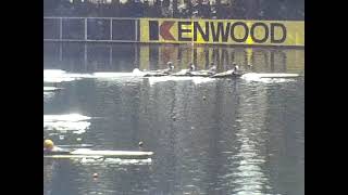 1979 World Champs Mens lwt 4 Final from grandstand [upl. by Aihsatsan177]