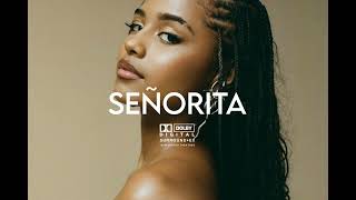 FREE Afroswing Type Beat  Afro RnB Type Beat x Dancehall Instrumental  Senorita [upl. by Doowyah757]