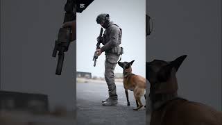 Amazing K9 Dogs training 😱🥶k9 dog malinois usa doglover dogsoftiktok usa [upl. by Nylirret]