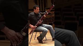 Bassoon Solo of The Day “Donna Lee” excerpt bassoon music bassoonist [upl. by Annahsed713]