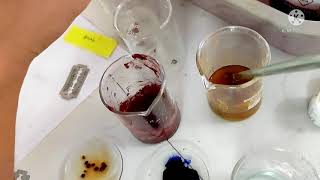 To Perform Morphological Histological And Microscopical Chemical Test of clove [upl. by Kennan]