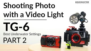 Olympus TG6  Shooting Photos with a Video Light  Best Underwater Camera Settings Part 2 [upl. by Gnod]