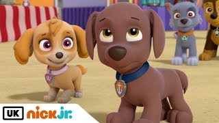 PAW Patrol Pups Transform Into Mermaids w Skye Zuma amp Marshall  Nick Jr [upl. by Josephine]