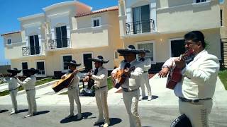 Hermoso Cariño Mariachis de Tijuana [upl. by Ojoj762]