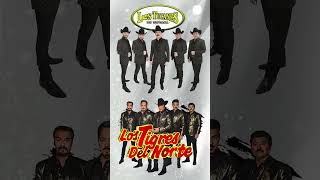 Los Tucanes De Tijuana Los Tigres Del Norte Grupo Exterminador Puros Corridos mp4 [upl. by Nehttam]