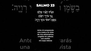 SALMO 23 en Hebreo  Tehilim 23 [upl. by Osmond42]