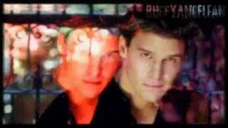 Tribute to David Boreanaz [upl. by Malvina35]