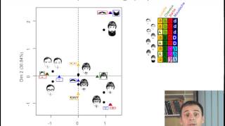 LAnalyse des Correspondances Multiples en 6 minutes [upl. by Ahsenauq]