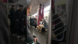 do you want a free pole dance show on a moving train new york city subwayperformers [upl. by Akinor651]