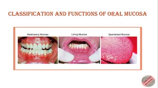 Classification amp Functions of Oral Mucosa Oral Mucous Membrane dental bds dentistry bds [upl. by Assirahs]