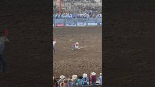 National high school rodeo finals 2024 Goat Tying NHSRA rodeo Competition 🐐 [upl. by Anyrtak]