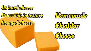 How to make Homemade Cheddar Cheese Recipe  Easy amp Cheap Cheese at Home with 3 Ingredient [upl. by Spector183]